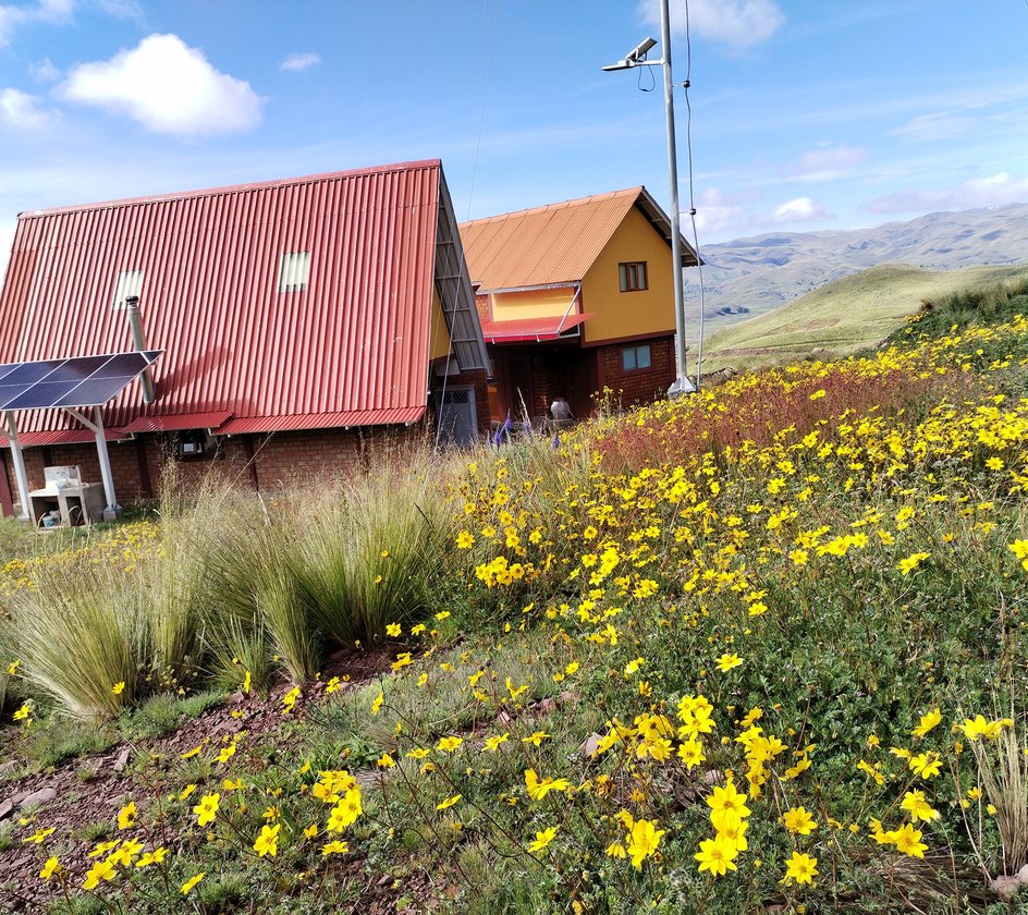 Cabañas del lodge entre flores silvestres, Fundo Totorjani